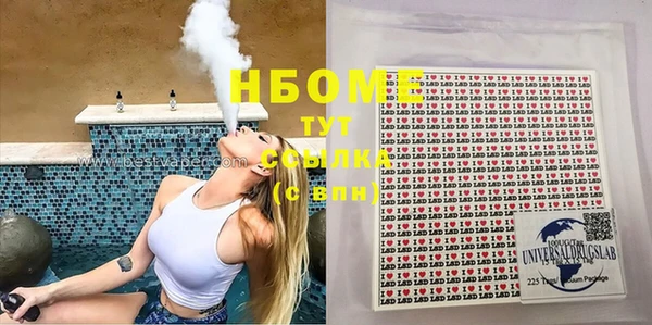 стаф Зерноград