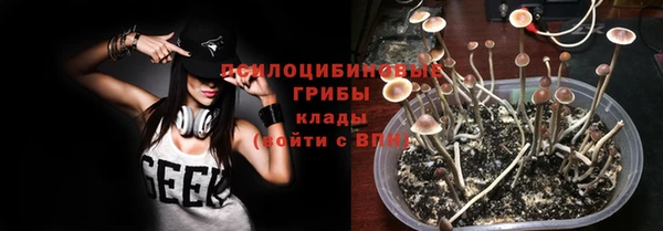 PSILOCYBIN Зеленодольск