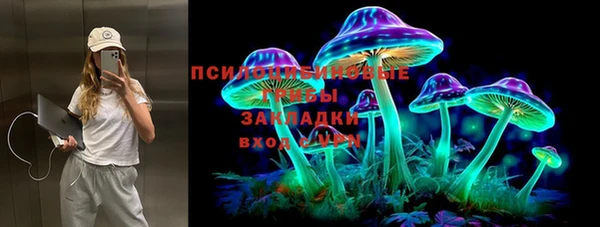 стаф Зерноград