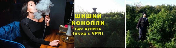 стаф Зерноград