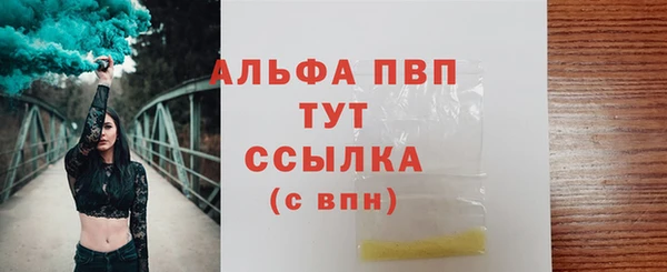 PSILOCYBIN Зеленодольск