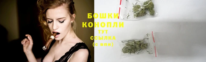 стаф Зерноград