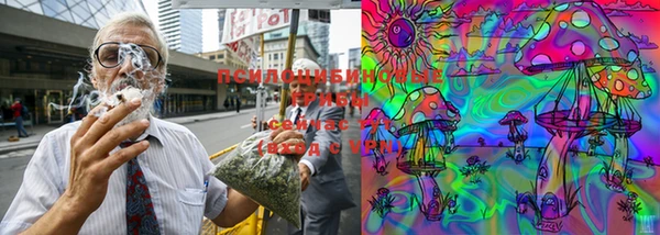 PSILOCYBIN Зеленодольск