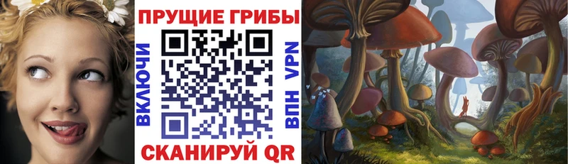 Купить закладки  Ельня  Галлюциногенные грибы Magic Shrooms 